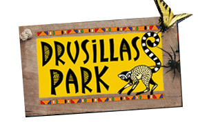 drusillas